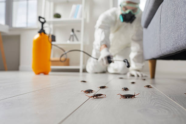 Commercial Kitchen Cockroach Control in Marfa